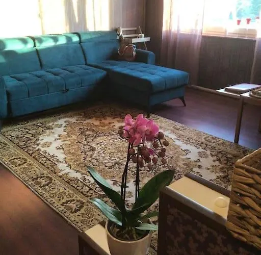 Luxurious Specious Pyussi